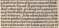 An illustration from Des allerdurchleichtigsten vnnd vnüberwindlichsten Fürsten vund Herzen , hern Friderichen des dritten Roemischen Kaysers, vnd frawen Leonora, Künigin auf Portugal, vermächelunng vñ Kroenung zc. : darnach des allerdurchleüchtigisten vnd grossmechtigisten Fürsten vñ Herzen, herzn Maximilian Roemischen Künigs zc. vnd seiner maiestat Schwester, Kunigund genant, hochloblich gerburd zc. (1503)