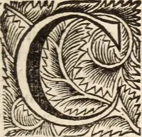 Picture 12 of 38 from De satisfactione Christi disputationes : cum Indicibus necessariis ; Adiectae sunt eiusdem duae disputationes; I. De circulo pontificio ; II. De concordia Iacobi & Pauli in articulo Iustificationis (1696), leaf 204