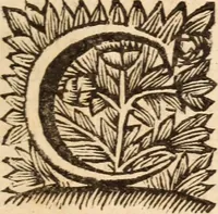 Picture 6 of 38 from De satisfactione Christi disputationes : cum Indicibus necessariis ; Adiectae sunt eiusdem duae disputationes; I. De circulo pontificio ; II. De concordia Iacobi & Pauli in articulo Iustificationis (1696), leaf 32