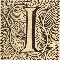Picture 18 of 38 from De satisfactione Christi disputationes : cum Indicibus necessariis ; Adiectae sunt eiusdem duae disputationes; I. De circulo pontificio ; II. De concordia Iacobi & Pauli in articulo Iustificationis (1696), leaf 384