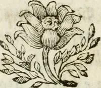 An illustration from De Scala Sancta ante Sancta Sanctorum in Laterano culta opusculum (1672)