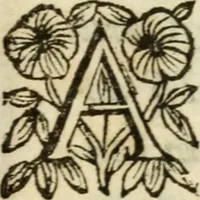 An illustration from De Scala Sancta ante Sancta Sanctorum in Laterano culta opusculum (1672)
