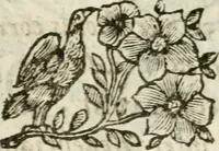 An illustration from De Scala Sancta ante Sancta Sanctorum in Laterano culta opusculum (1672)
