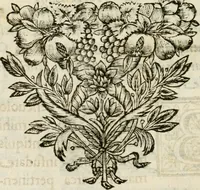 An illustration from De Scala Sancta ante Sancta Sanctorum in Laterano culta opusculum (1672)