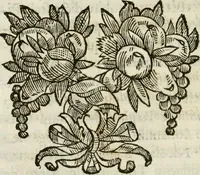 An illustration from De Scala Sancta ante Sancta Sanctorum in Laterano culta opusculum (1672)