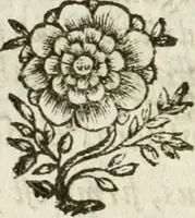 Picture 8 of 29 from De Scala Sancta ante Sancta Sanctorum in Laterano culta opusculum (1672), leaf 29