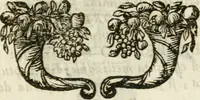 An illustration from De Scala Sancta ante Sancta Sanctorum in Laterano culta opusculum (1672)