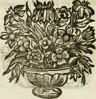 An illustration from De Scala Sancta ante Sancta Sanctorum in Laterano culta opusculum (1672)