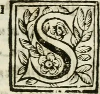 An illustration from De Scala Sancta ante Sancta Sanctorum in Laterano culta opusculum (1672)