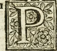 An illustration from De Scala Sancta ante Sancta Sanctorum in Laterano culta opusculum (1672)