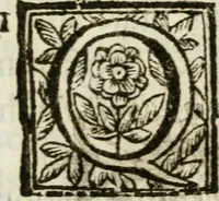 An illustration from De Scala Sancta ante Sancta Sanctorum in Laterano culta opusculum (1672)