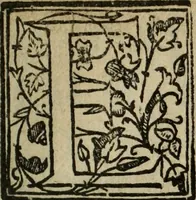 An illustration from Descriao do reino de Portugal (1610)