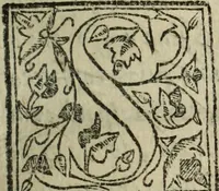 An illustration from Descriao do reino de Portugal (1610)