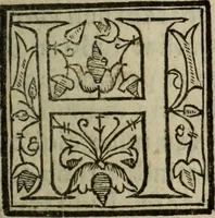 An illustration from Descriao do reino de Portugal (1610)