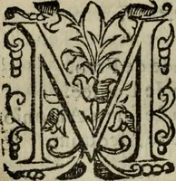 An illustration from Descriao do reino de Portugal (1610)