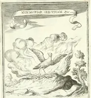 Picture 33 of 72 from Descripcion de las honras : que se hicieron ala Catholica Magd. de D. Phelippe quarto rey de las Españas y del nueuo mundo en el Real Conuento de la Encarnacion : que de horden de la reyna n[uest]ra señora como superintendente de las reales obras dispuso D. Baltasar Barroso de Ribera marques de Malpica ... (1666), leaf 194
