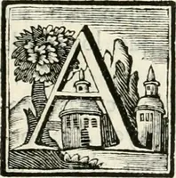 Picture 17 of 42 from Descripcion del real monasterio de San Lorenzo del Escorial : su magnifico templo, panteon, y palacio : compendiada de la descripcion antigua, y exornada con nuevas vistosas láminas de su planta y montéa : aumentada con la noticia de varias grandezas y alhajas con que han ilustrado los católicos reyes aquel maravilloso edificio, y coronada con un tratado apendice de los insignes profesores de las bellas artes estatuaria, arquitectura, y pintura, que concurrieron á su fundacion, y despues le han enriquecido con sus obras (1764), leaf 178