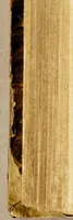 An illustration from Descripcion general del mundo, y notables sucessos dèl. (1684)