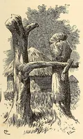 Picture 6 of 19 from Descripção da viagem á Mussumba do Muatiãnvua (1890), leaf 293