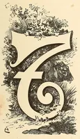 Picture 8 of 19 from Descripção da viagem á Mussumba do Muatiãnvua (1890), leaf 381