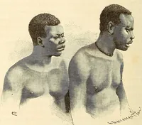 An illustration from Descripção da viagem á Mussumba do Muatiãnvua (1890)