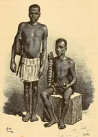 An illustration from Descripção da viagem á Mussumba do Muatiãnvua (1890)