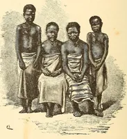 An illustration from Descripção da viagem á Mussumba do Muatiãnvua (1890)