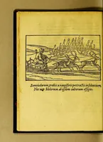 Picture 5 of 7 from Descriptio ac delineatio geographica detectionis freti, : sive, Transitus ad occasum, suprà terras Americanas in Chinam atq[ue] Iaponem ducturi, recens investigati ab M. Henrico Hudsono Anglo. : Item, Narratio ser.mo regi Hispaniæ facta, super tractu, in quinta orbis terrarum parte, cui Australiæ incognitæ nomen est, recens detecto, per Capitaneum Petrum Ferdinandez de Quir. : Vnà cum descriptione terræ Samoiedarum [et] Tingoesiorum, in Tartaria ad ortum Freti VVaygats sitæ, nuperq; imperio Moscovitarum subactæ (1612), leaf 38