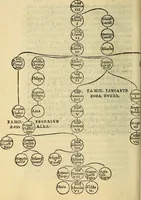 An illustration from Descriptio Britanniae, Scotiea, Hyberniae, et Orchadvm (1548)