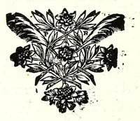 An illustration from Description anatomique d'un cameleon, d'un castor, d'un dromadaire, d'un ours, et d'une gazelle (1669)