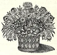 Picture 2 of 12 from Description anatomique d'un cameleon, d'un castor, d'un dromadaire, d'un ours, et d'une gazelle (1669), leaf 4