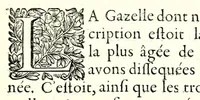 An illustration from Description anatomique d'un cameleon, d'un castor, d'un dromadaire, d'un ours, et d'une gazelle (1669)