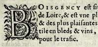 An illustration from Description contenant toutes les singularitez de plus celebres villes et places remarquables du royaume de France : avec les choses plus memorables aduenues en jceluy : reveu, corrige et auguemente du sommaire de l'estat, cartes des prouinces et de quelques portraitz des plus signalees uilles du dict royaume (1610)