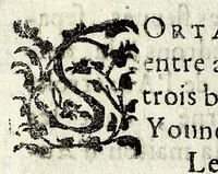 An illustration from Description contenant toutes les singularitez de plus celebres villes et places remarquables du royaume de France : avec les choses plus memorables aduenues en jceluy : reveu, corrige et auguemente du sommaire de l'estat, cartes des prouinces et de quelques portraitz des plus signalees uilles du dict royaume (1610)