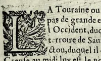 An illustration from Description contenant toutes les singularitez de plus celebres villes et places remarquables du royaume de France : avec les choses plus memorables aduenues en jceluy : reveu, corrige et auguemente du sommaire de l'estat, cartes des prouinces et de quelques portraitz des plus signalees uilles du dict royaume (1610)