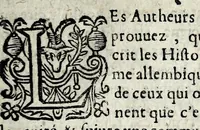 An illustration from Description contenant toutes les singularitez de plus celebres villes et places remarquables du royaume de France : avec les choses plus memorables aduenues en jceluy : reveu, corrige et auguemente du sommaire de l'estat, cartes des prouinces et de quelques portraitz des plus signalees uilles du dict royaume (1610)