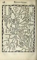 An illustration from Description contenant toutes les singularitez de plus celebres villes et places remarquables du royaume de France : avec les choses plus memorables aduenues en jceluy : reveu, corrige et auguemente du sommaire de l'estat, cartes des prouinces et de quelques portraitz des plus signalees uilles du dict royaume (1610)