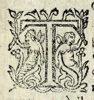 An illustration from Description contenant toutes les singularitez de plus celebres villes et places remarquables du royaume de France : avec les choses plus memorables aduenues en jceluy : reveu, corrige et auguemente du sommaire de l'estat, cartes des prouinces et de quelques portraitz des plus signalees uilles du dict royaume (1610)