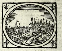 An illustration from Description contenant toutes les singularitez de plus celebres villes et places remarquables du royaume de France : avec les choses plus memorables aduenues en jceluy : reveu, corrige et auguemente du sommaire de l'estat, cartes des prouinces et de quelques portraitz des plus signalees uilles du dict royaume (1610)