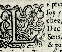 An illustration from Description contenant toutes les singularitez de plus celebres villes et places remarquables du royaume de France : avec les choses plus memorables aduenues en jceluy : reveu, corrige et auguemente du sommaire de l'estat, cartes des prouinces et de quelques portraitz des plus signalees uilles du dict royaume (1610)