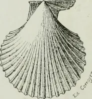 An illustration from Description de l'abbaye du Mont Saint-Michel et de ses abords : précédée d'une notice historique (1877)