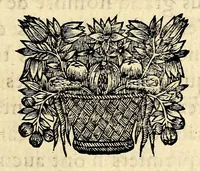 An illustration from Description de la France equinoctiale, cy-deuant appellee Guyanne, et par les Espagnols, El Dorado. (1666)
