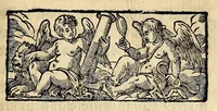 An illustration from Description de la Louisiane, : nouvellement decouverte au sud' oüest de la Nouvelle France, par ordre du roy. Avec la carte du pays, les moeurs & la maniere de vivre des sauvages. (1683)