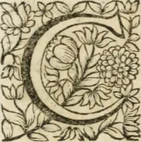 Picture 3 of 6 from Description de l'arc dressé par les soins du Souuerain Senat de Savoye : pour l'entrée de leurs Altesses Royales à Chambery (1663), leaf 38