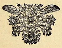 Picture 23 of 58 from Description de l'univers, : contenant les differents systêmes du monde, les cartes generales & particulieres de la geographie ancienne & moderne : les plans & les profils des principales villes & des autres lieux plus considerables de la terre ; avec les portraits des souverains qui y commandent, leurs blasons, titres & livrées : et les mœurs, religions, gouvernemens & divers habillemens de chaque nation. Dediee au roy. (1683), leaf 131