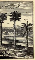 Picture 27 of 58 from Description de l'univers, : contenant les differents systêmes du monde, les cartes generales & particulieres de la geographie ancienne & moderne : les plans & les profils des principales villes & des autres lieux plus considerables de la terre ; avec les portraits des souverains qui y commandent, leurs blasons, titres & livrées : et les mœurs, religions, gouvernemens & divers habillemens de chaque nation. Dediee au roy. (1683), leaf 149