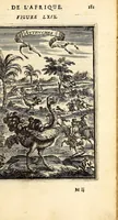 Picture 30 of 51 from Description de l'univers, : contenant les differents systêmes du monde, les cartes generales & particulieres de la geographie ancienne & moderne : les plans & les profils des principales villes & des autres lieux plus considerables de la terre ; avec les portraits des souverains qui y commandent, leurs blasons, titres & livrées : et les mœurs, religions, gouvernemens & divers habillemens de chaque nation. Dediee au roy. (1683), leaf 197
