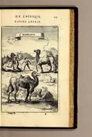 Picture 40 of 51 from Description de l'univers, : contenant les differents systêmes du monde, les cartes generales & particulieres de la geographie ancienne & moderne : les plans & les profils des principales villes & des autres lieux plus considerables de la terre ; avec les portraits des souverains qui y commandent, leurs blasons, titres & livrées : et les mœurs, religions, gouvernemens & divers habillemens de chaque nation. Dediee au roy. (1683), leaf 243
