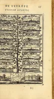 Picture 32 of 56 from Description de l'univers, : contenant les differents systêmes du monde, les cartes generales & particulieres de la geographie ancienne & moderne : les plans & les profils des principales villes & des autres lieux plus considerables de la terre ; avec les portraits des souverains qui y commandent, leurs blasons, titres & livrées : et les mœurs, religions, gouvernemens & divers habillemens de chaque nation. Dediee au roy. (1683), leaf 231