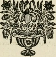 An illustration from Description de l'univers (1683)